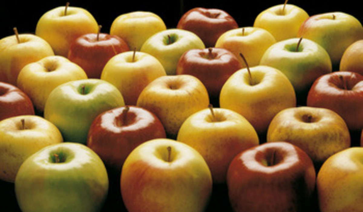 JABŁKA Z VAL DI NON (foto: visittrentino.it) JABŁKA Z VAL DI NON (foto: visittrentino.it)