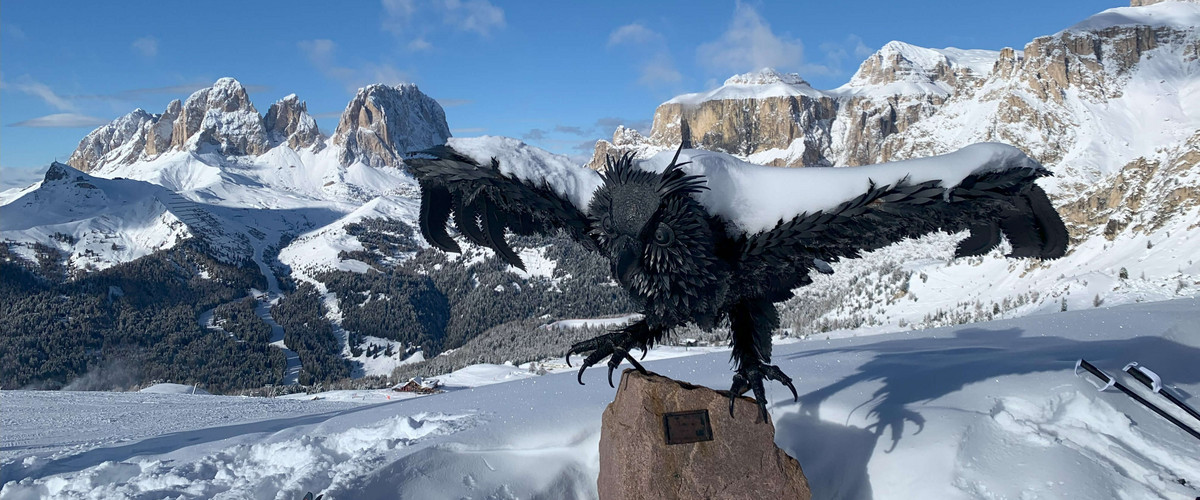 "Śnieżna sowa" na stokach Belvedere / fot. P. Tomczyk "Śnieżna sowa" na stokach Belvedere / fot. P. Tomczyk