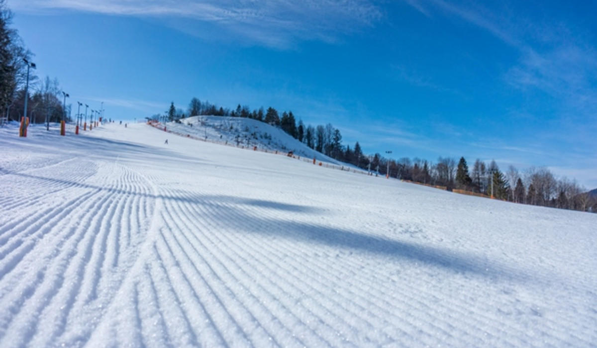 Palenica (foto: PKL)