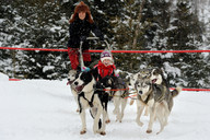 Słowacja - śnieżne psy- zaprzęg  2