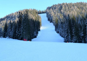 Holzriese - Pustertal