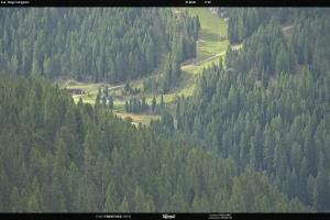 Kamera: San Martino di Castrozza - Passo Rolle Ces - Malga Valcigolera San Martino di Castrozza - Passo Rolle San Martino di Castrozza - Passo Rolle Ces - Malga Valcigolera