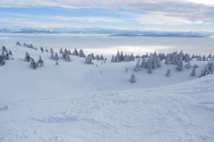 Monts Jura Monts Jura Livecam