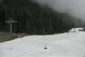Zverovka Tatrawest s.r.o. Livecam