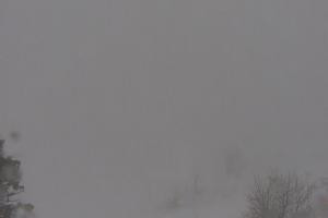 Kamera: Jasna - Chopok Predné Dereše - 1.646 m n. m. Jasna Jasna - Chopok Predné Dereše - 1.646 m n. m.