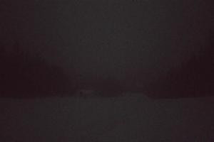 Kamera: Dwie Doliny Wierchomla - górna stacja Wierchomla-Muszyna Dwie Doliny Wierchomla - górna stacja