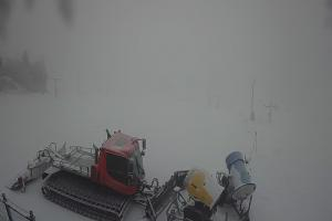 Bukowina Tatrzańska Zwyrtlik Widok na stok