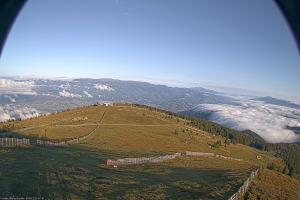Kamera: Koralpe Steinschneider Koralpe Koralpe Steinschneider