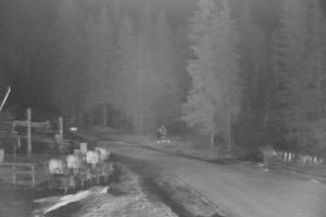 Stronie Ślaskie Czarna Góra Górna stacja kolei Żmija