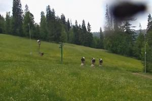 Kamera: Ski Suche U Jędrola Stacja dolna Poronin Ski Suche U Jędrola Stacja dolna