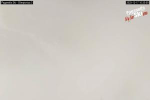 Kamera: Andalo - Paganella Pista Olimpionica Andalo - Paganella Andalo - Paganella Pista Olimpionica