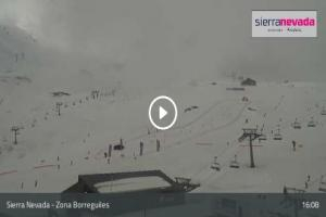 Sierra Nevada Sierra Nevada Zona Borreguiles