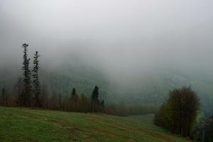 Zawoja - Mosorny Groń Zawoja Ski Widok na stok