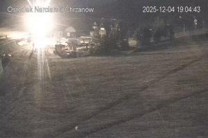 Kamera: Nartraj Kamera na stoku Roztocze Nartraj Kamera na stoku