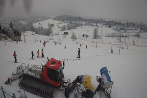 Bukowina Tatrzańska Zwyrtlik Widok na stok