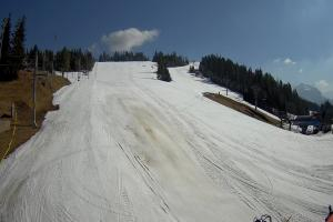 Jurgów Jurgów Ski Widok na stok