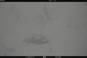 San Martino di Castrozza - Passo Rolle San Martino di Castrozza - Passo Rolle Malga Tognola