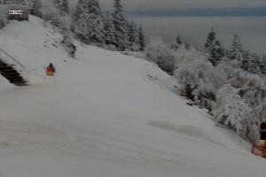 Świeradów Zdrój Ski&Sun Ski & Sun - Świeradów - widok na bar