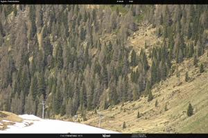 S. Martino di Castrozza / Passo Rolle S. Martino di Castrozza / Passo Rolle Tognola - Pista Scandola