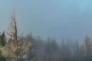 Kamera: Jaworzyna Krynicka Widok na szczyt Jaworzyny (1114 m n.p.m) Krynica Jaworzyna Krynicka Widok na szczyt Jaworzyny (1114 m n.p.m)