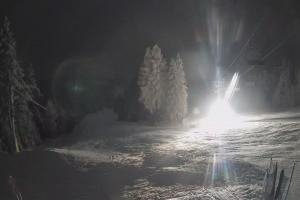 Kamera: Dwie Doliny Polanki Wierchomla-Muszyna Dwie Doliny Polanki