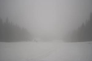 Kamera: Dwie Doliny Wierchomla - górna stacja Wierchomla-Muszyna Dwie Doliny Wierchomla - górna stacja