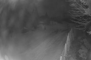 Wierchomla-Muszyna Dwie Doliny Szałas