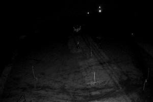 Kamera: Kompleks Wyciągów Narciarskich Górnik Stok przy wyciągach nr 1 i 2 Walim - Rzeczka Kompleks Wyciągów Narciarskich Górnik Stok przy wyciągach nr 1 i 2