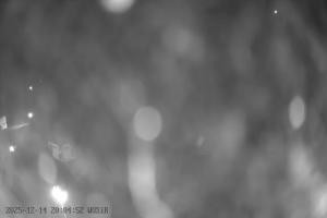 Szelment Szelment WOSiR Wyciąg