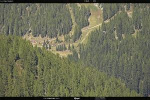Kamera: San Martino di Castrozza - Passo Rolle Ces - Malga Valcigolera San Martino di Castrozza - Passo Rolle San Martino di Castrozza - Passo Rolle Ces - Malga Valcigolera