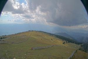 Kamera: Koralpe Steinschneider Koralpe Koralpe Steinschneider