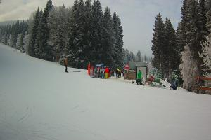 Kamera: Czarna Góra Dolny odcinek trasy B-FIS Stronie Śląskie Czarna Góra Dolny odcinek trasy B-FIS