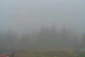 Kamera: Jaworzyna Krynicka Widok na szczyt Jaworzyny (1114 m n.p.m) Krynica Jaworzyna Krynicka Widok na szczyt Jaworzyny (1114 m n.p.m)