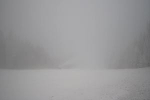 Kamera: Dwie Doliny Wierchomla - górna stacja Wierchomla-Muszyna Dwie Doliny Wierchomla - górna stacja