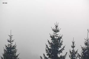 Kamera: Ski&Sun Ski & Sun - Świeradów - widok na bar Świeradów Zdrój Ski&Sun Ski & Sun - Świeradów - widok na bar