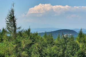 Kamera: Jaworzyna Krynicka Widok na szczyt Jaworzyny (1114 m n.p.m) Krynica Jaworzyna Krynicka Widok na szczyt Jaworzyny (1114 m n.p.m)