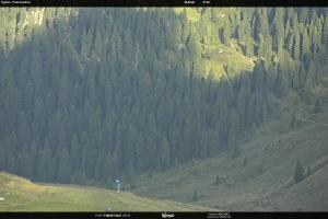 Kamera: S. Martino di Castrozza / Passo Rolle Tognola - Pista Scandola S. Martino di Castrozza / Passo Rolle S. Martino di Castrozza / Passo Rolle Tognola - Pista Scandola
