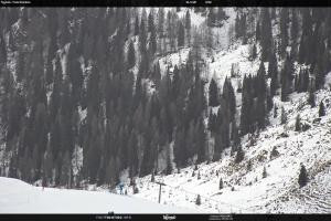 S. Martino di Castrozza / Passo Rolle S. Martino di Castrozza / Passo Rolle Tognola - Pista Scandola