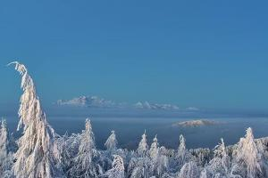 Kamera: Jaworzyna Krynicka Widok na szczyt Jaworzyny (1114 m n.p.m) Krynica Jaworzyna Krynicka Widok na szczyt Jaworzyny (1114 m n.p.m)