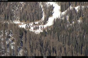 Kamera: San Martino di Castrozza - Passo Rolle Ces - Malga Valcigolera San Martino di Castrozza - Passo Rolle San Martino di Castrozza - Passo Rolle Ces - Malga Valcigolera