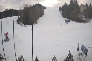 Ustrzyki Dolne Gromadzyń Dolna Stacja