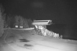 Tylicz Master Ski Widok na ośrodek