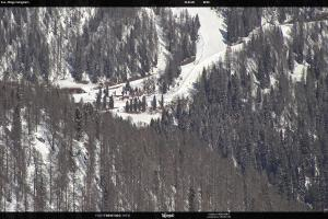 San Martino di Castrozza - Passo Rolle San Martino di Castrozza - Passo Rolle Ces - Malga Valcigolera