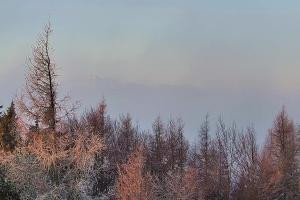 Kamera: Jaworzyna Krynicka Widok na szczyt Jaworzyny (1114 m n.p.m) Krynica Jaworzyna Krynicka Widok na szczyt Jaworzyny (1114 m n.p.m)