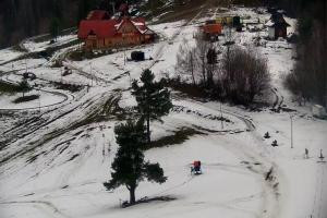 Szczawnica Palenica Szafranówka