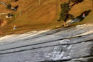 Szczawnica Palenica Szafranówka