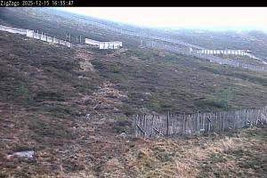 Kamera: Cairgorm Zigzags Webcam Cairgorm Cairgorm Zigzags Webcam