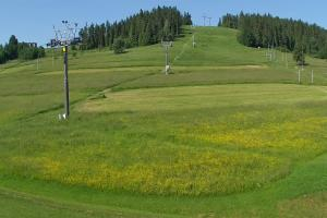 Kamera: Koziniec-Ski Kamera na kolejkę Bukowina Tatrzańska Koziniec-Ski Kamera na kolejkę