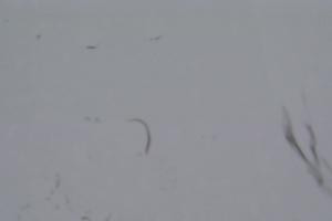 Kamera: Kasprowy Wierch Kasprowy Wierch - panorama Zakopane Kasprowy Wierch Kasprowy Wierch - panorama