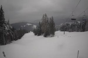 Wierchomla-Muszyna Dwie Doliny Polanki